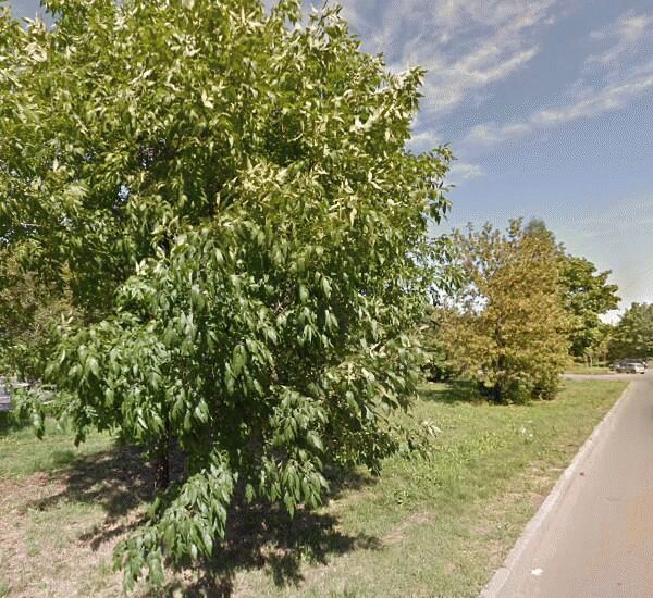 Банкомат Почта Банка по адресу просп. Суздальский,  д. 26а